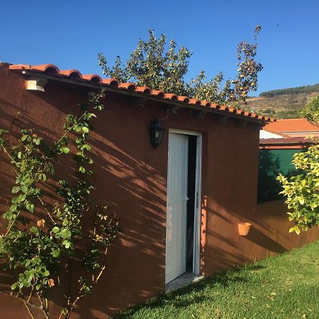Villa - Torres Vedras, Lisbon Country Side Almeirinhos de Baixo 外观 照片