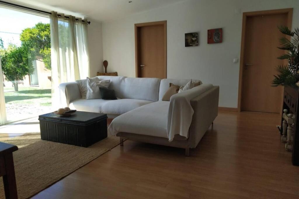Villa - Torres Vedras, Lisbon Country Side Almeirinhos de Baixo 外观 照片